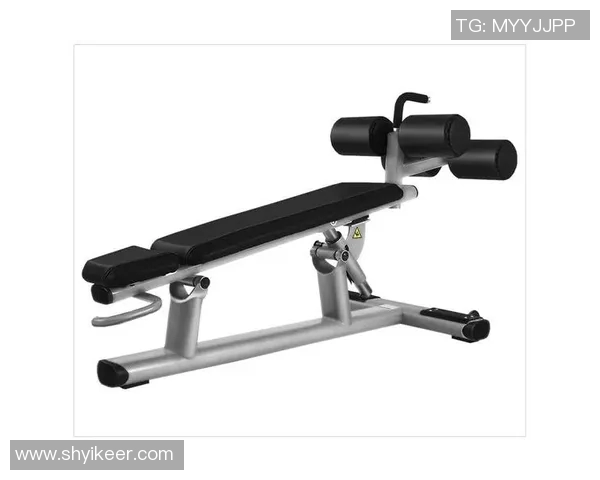 在家健身器材推荐如何选择适合自己的器材提升锻炼效果